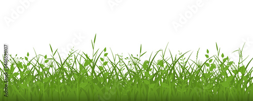 Obraz na plátně Green grass meadow border