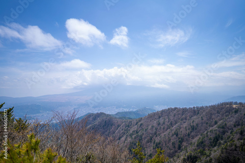 三ツ峠山登山道の風景 A view of the Mt. Mitsutoge trail