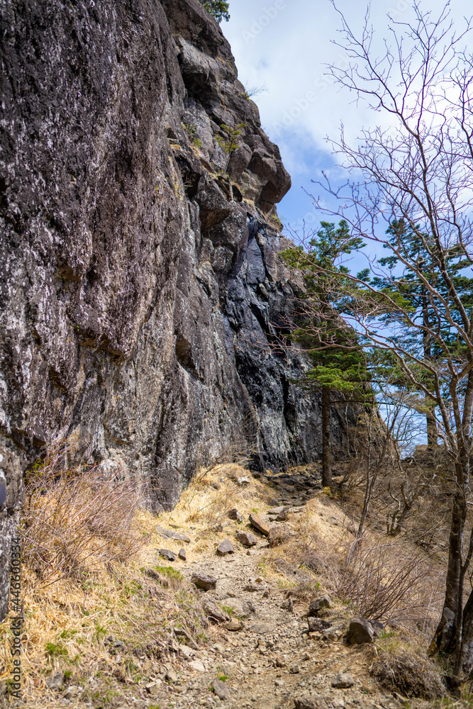 三ツ峠山登山道の風景 A view of the Mt. Mitsutoge trail 三ツ峠山登山道の風景 A view of the Mt. Mitsutoge trail