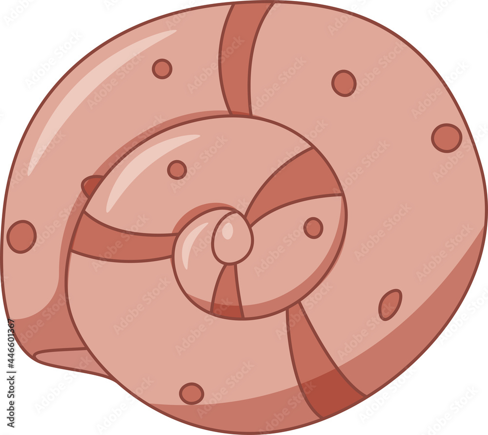 Fototapeta premium round cartoon shell with spots and lines