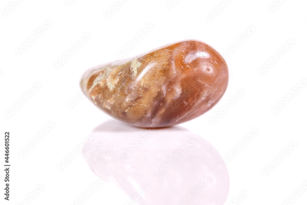 Macro mineral stone jasper on a white background Macro mineral stone jasper on a white background