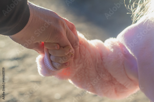 Mother leads her daughter by the hand, the child holds the hand, the concept of family unity © Olga