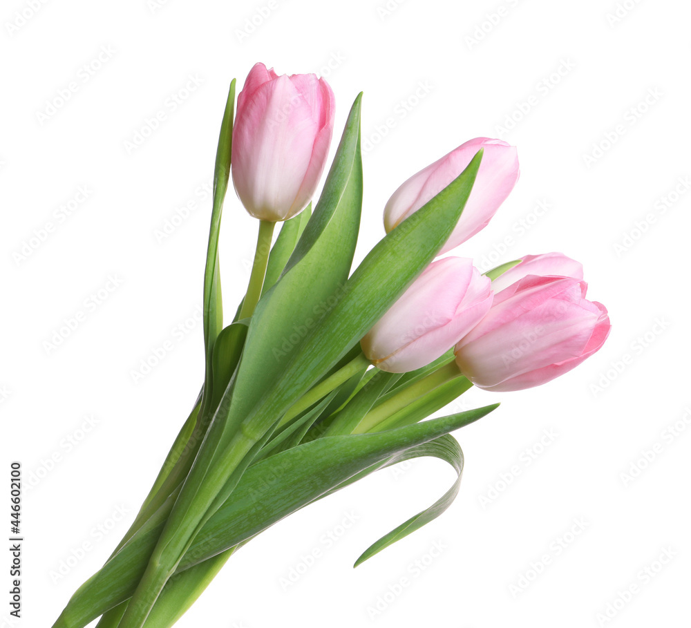 Beautiful bouquet of tulips isolated on white Beautiful bouquet of tulips isolated on white