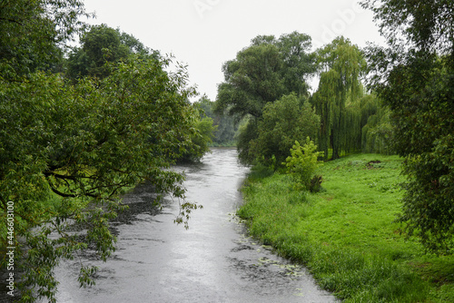 River in a green park during the rain