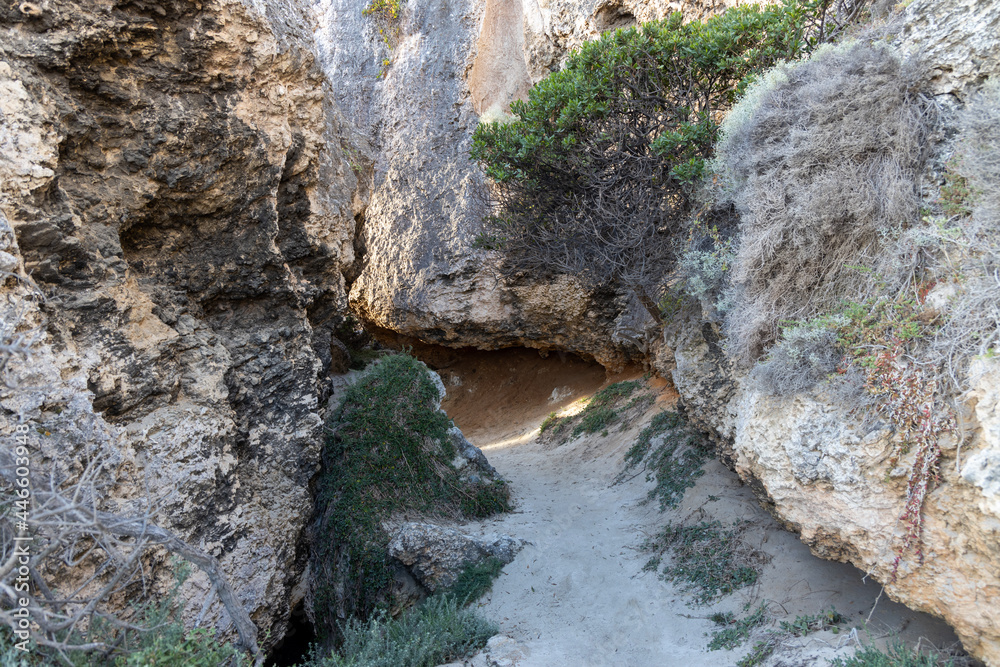 The path to the hidden beach at Stokes Bay Kangaroo Island South Australia on May 9th 2021