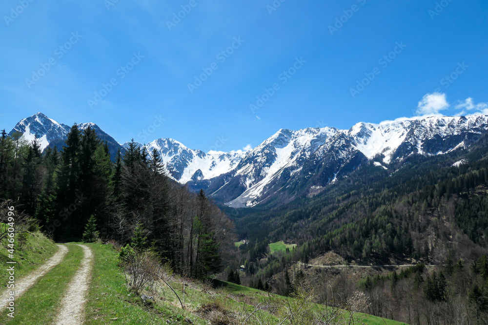 A panoramic view on a hiking trail in the Baeren Valley in Austrian Alps. The highest peaks in the chain are snow-capped. Lush green pasture in front. A few trees on the slopes. Clear and sunny day.