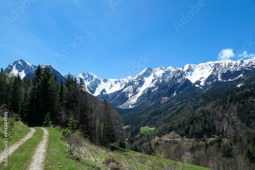 A panoramic view on a hiking trail in the Baeren Valley in Austrian Alps. The highest peaks in the chain are snow-capped. Lush green pasture in front. A few trees on the slopes. Clear and sunny day.