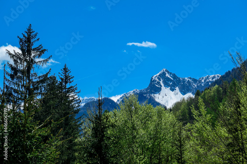 A panoramic view on Baeren Valley in Austrian Alps. The highest peaks in the chain are snow-capped. Lush green pasture in front. A few trees on the slopes. Clear and sunny day. High mountain chains.