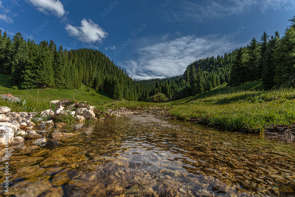 beautiful landscape with river and pine trees beautiful landscape with river and pine trees