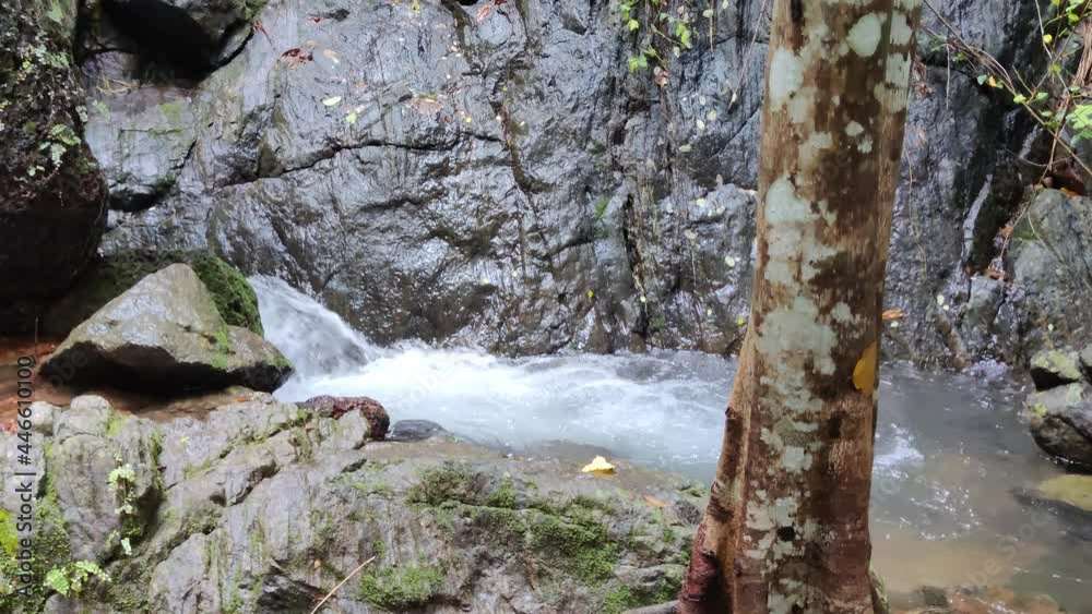 Stream water falling over the rocks and stones near the tree Stream water falling over the rocks and stones near the tree