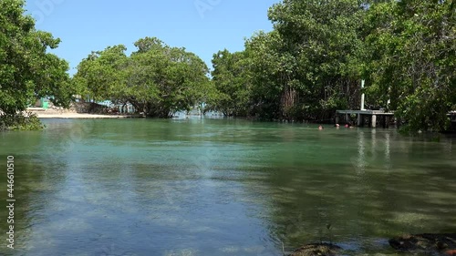 Completely open Cenote Chiquila. Rio Lagartos, Yucatan, Mexico photo
