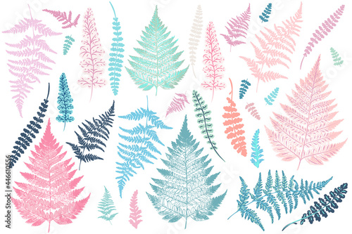 Collection of vector fern leaves tropical plants