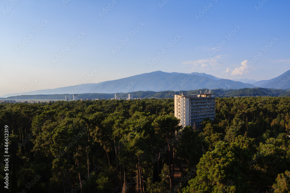 view of the hotel buildings surrounded with pine trees nearby caucasus mountains in the sunlight