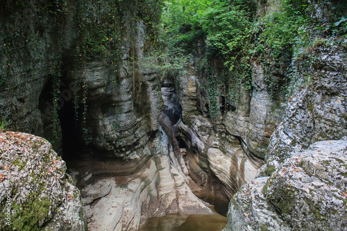 mountain river canyon with lianas and greenforest above photo