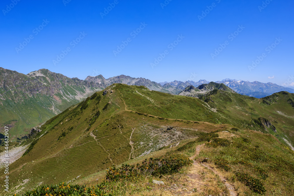 Fototapeta premium sandy footpath across the mountain range covered with alpine meadows