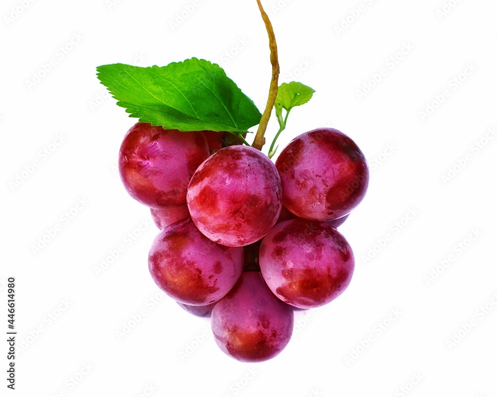 red grape isolated on white red grape isolated on white