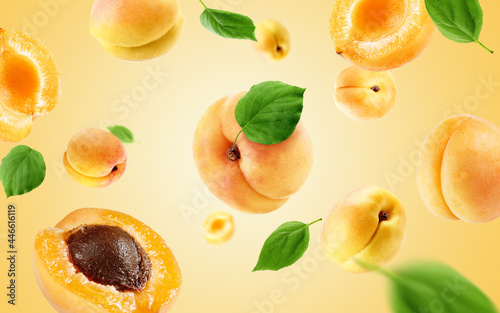 Fototapeta Naklejka Na Ścianę i Meble -  apricots group, slices and leaves flying on apricot colour background