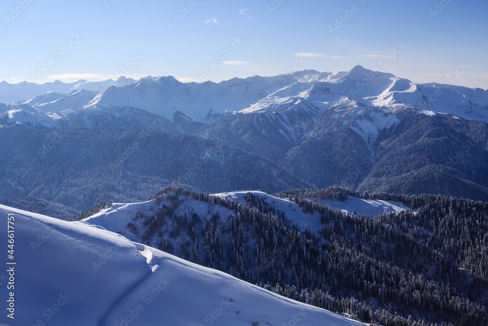 high mountain winter landscape and slopes covered with pine forest and snow
