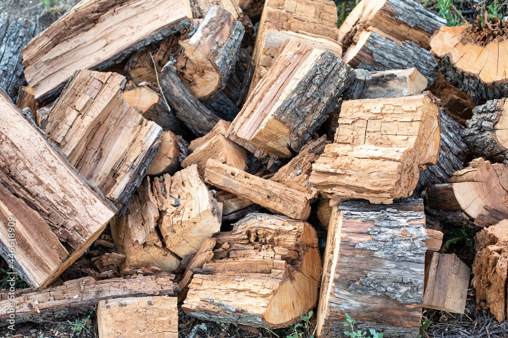 Pear firewood. Rotten wood, cut into pieces. Pear firewood. Rotten wood, cut into pieces.