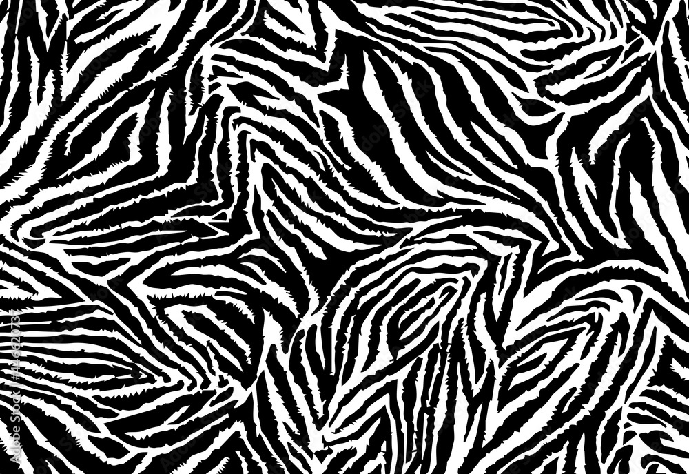 Zebra skin texture, African animal, tiger texture Zebra skin texture, African animal, tiger texture