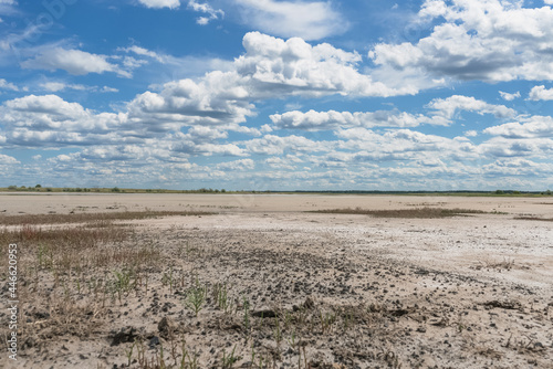 dried out salt-marsh