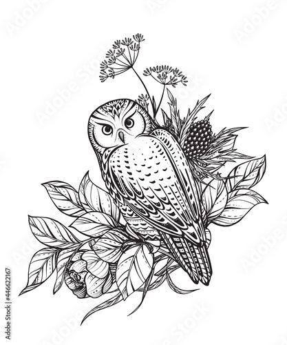 Vector illustration of black and white owl, flowers and herbs, branches isolated on white background. Mystical totem symbol.