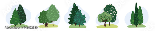 Set of green trees, bushes. Collection of deciduous and evergreen forest and park plants. Hand-drawn design elements for landscape. Cartoon vector illustration for game design.