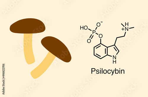 Vector illustration of mushroom and psilocybin molecule. Psilocybin is compound causing hallucinogenic effect.