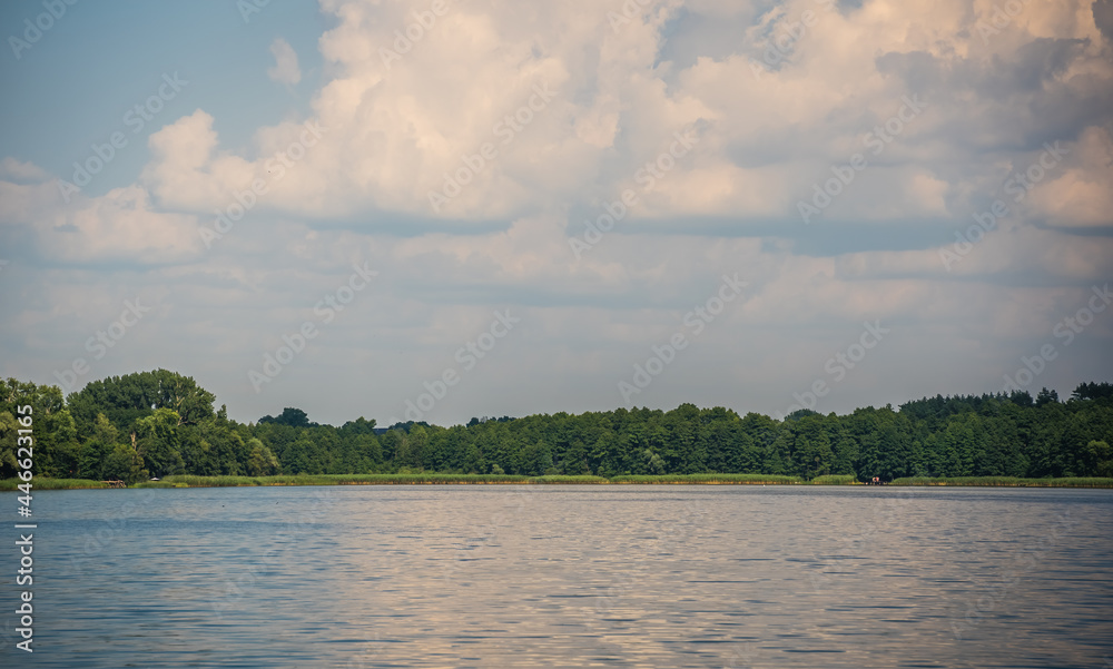 Low angle shot of the beautiful sky captured from a lake in a field Low angle shot of the beautiful sky captured from a lake in a field