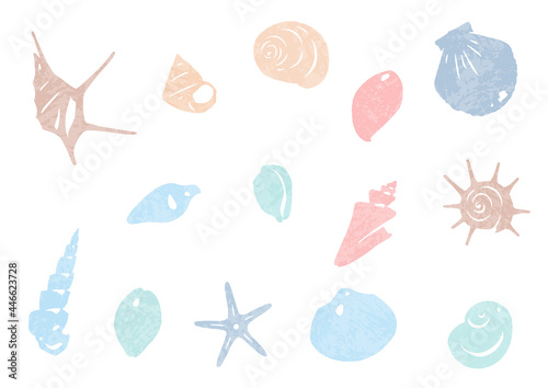 きれいな貝殻の素材セット © y13991