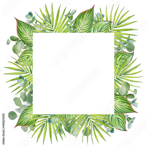 Frame with watercolor tropical leaves and branches