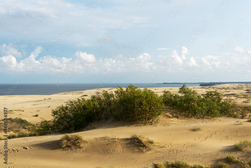 amazing view of sandy Grey Dunes at the Curonian Spit.