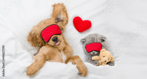 Funny English Cocker Spaniel puppy and tiny kitten wearing sleeping masks sleep together with red heart on a bed at home. Kitten hugs toy bear. Top down view