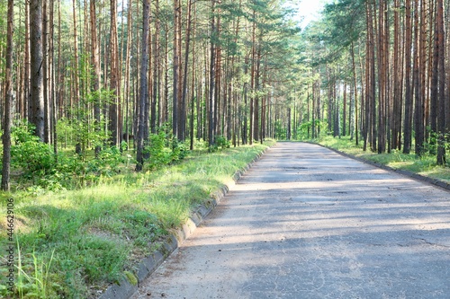 road 