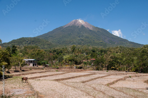 Ebulobo Mountain in Flores Indoenesia photo