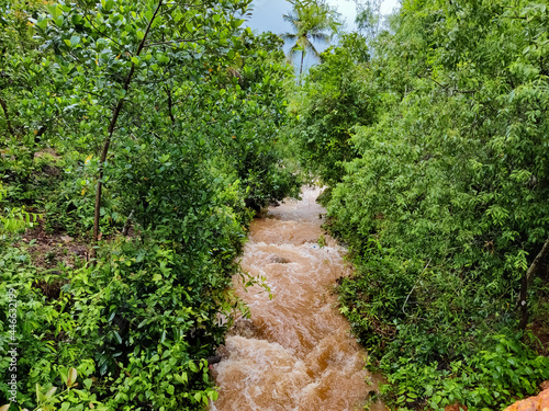 Beautiful shot of stream flood water flow with greens