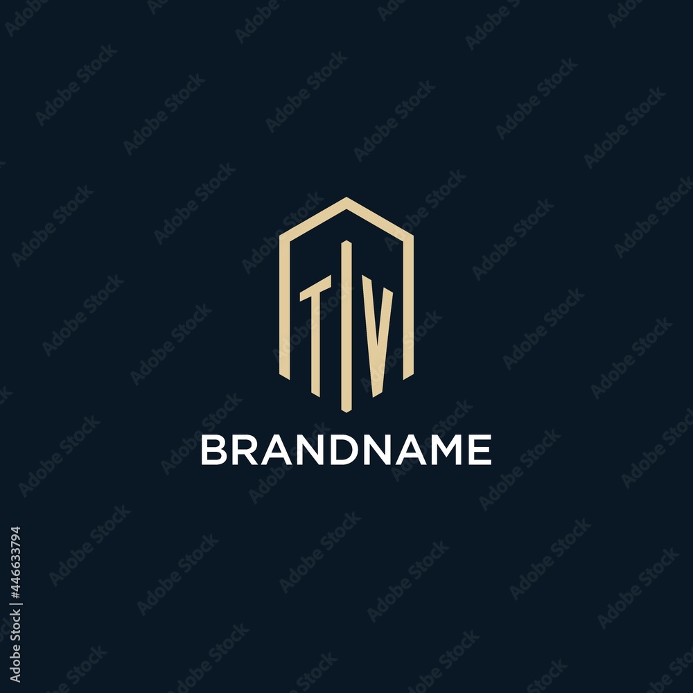 TV initial monogram logo with hexagonal shape style, real estate logo ...