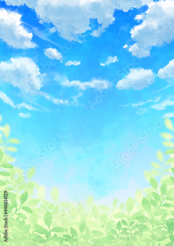 青空と雲と葉っぱ