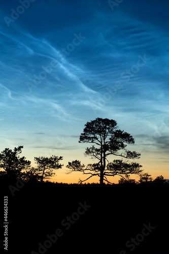 Noctilucent clouds, known also as night shining clouds seen in the summer at Kakerdaja bog in Estonia, Europe