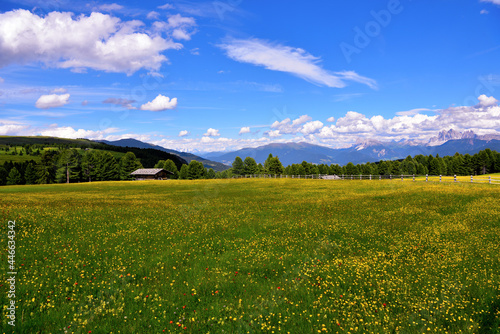 alpe di villandro It is the second largest mountain pasture in Europe and panorama dolomites south tyrol italy