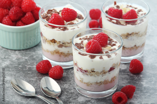 Granola with yogurt trifles with raspberry