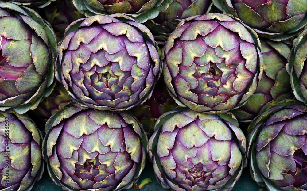 Obraz premium Green and purple artichokes at a French farmers market
