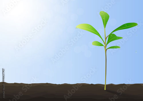 Green sprout growing from ground on blue background vector illustration