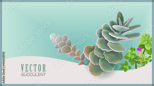 Succulent plants with foliage and a little purple flower.