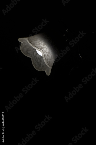 Obraz na płótnie Plafond from a chandelier. w salonie