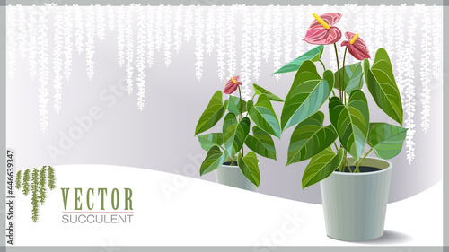 Indoor plants planted in grey bots with decorative background