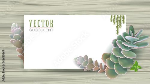 Designer poster of succulent plants and white space for content.