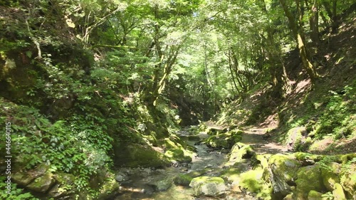 福井県　大飯郡　野鹿の滝　空撮　4K　ドローン