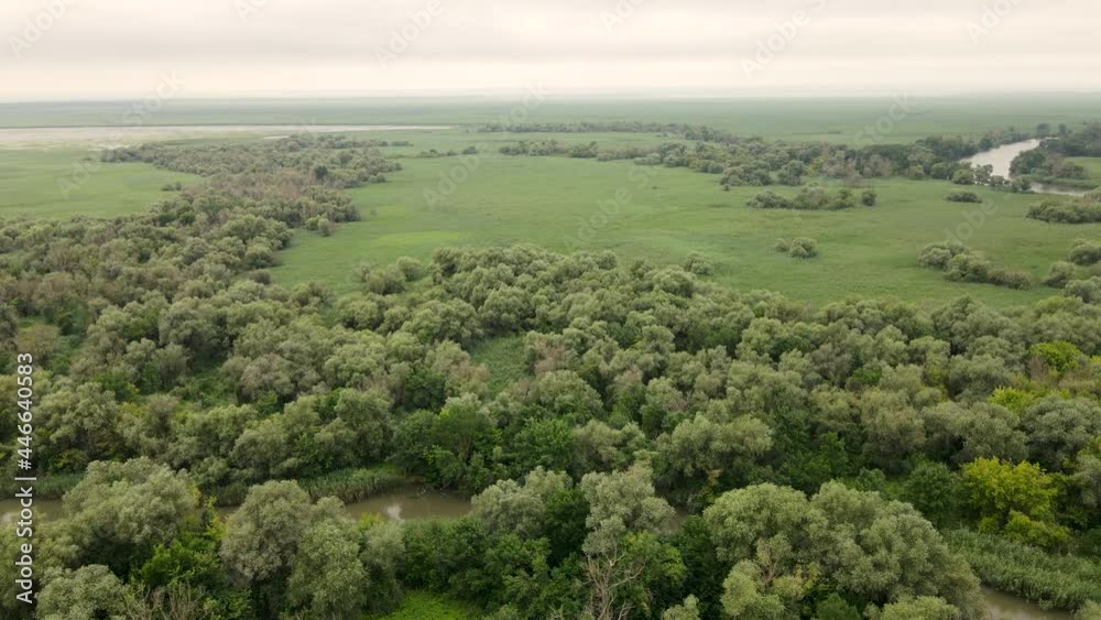 Floodplain forest and reed beds in the Dniester delta. The most beautiful channel in the delta is called the Amazon. South of Ukraine. Floodplain forest and reed beds in the Dniester delta. The most beautiful channel in the delta is called the Amazon. South of Ukraine.