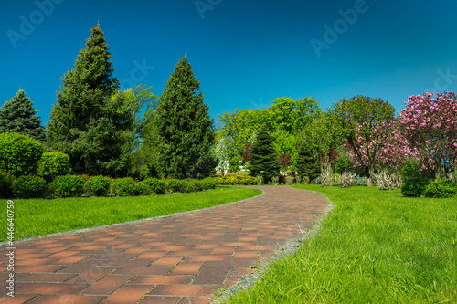 Fototapeta Naklejka Na Ścianę i Meble -  Picturesque view of beautiful park with fresh green grass and trees